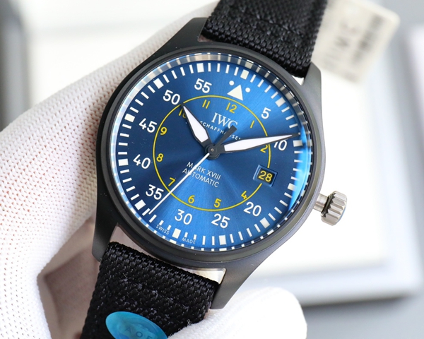 アイ・ダブリュー・シー側面デザイン